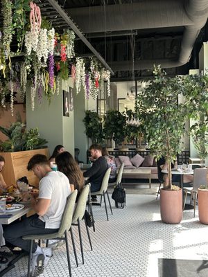 The Hen Ann Arbor by null