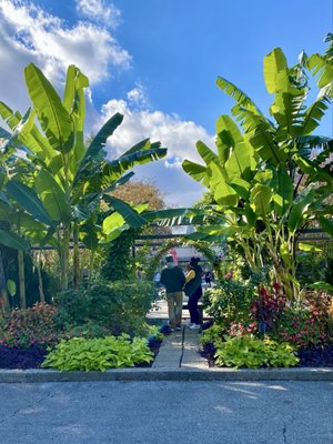 Memphis Botanic Garden by null