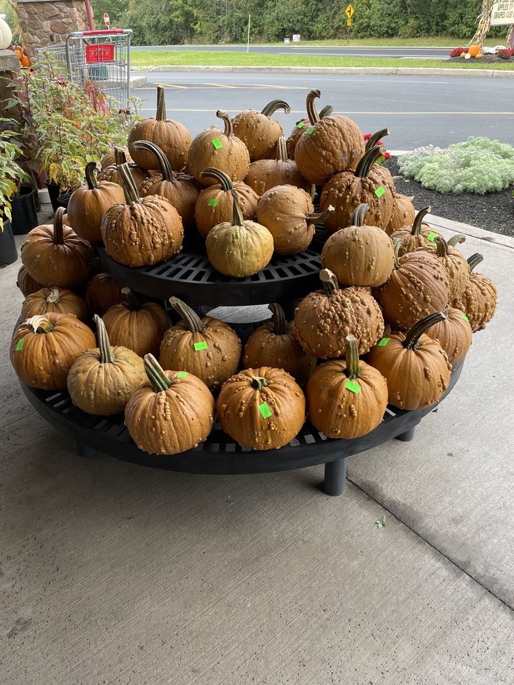 Sauders Country Store