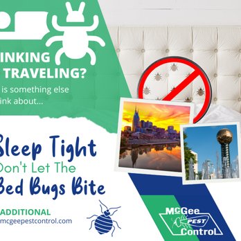 McGee Pest Control - Call McGee Pest Control if you think you have a Bed Bug infestation. 270-885-2847 - Pest Control Near Me - Hopkinsville, Kentucky McGee Pest Control - Call McGee Pest Control if you think you have a Bed Bug infestation. 270-885-2847 - Pest Control Near Me - Hopkinsville, Kentucky