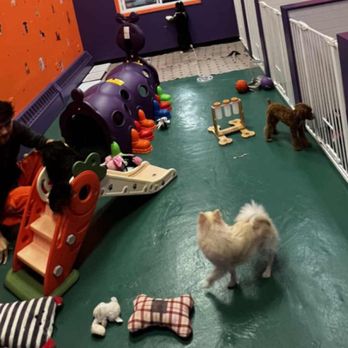 Pet Crew - Doggy Daycare

Daycare: 8AM - 5PM
Half Day - $20.00
Full Day - $30.00
Hotel- $50/24h - Pet Stores Near Me - Newark, New Jersey