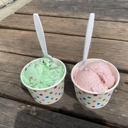Chester Springs Creamery - Left is mint chocolate chip and right is summer strawberry
