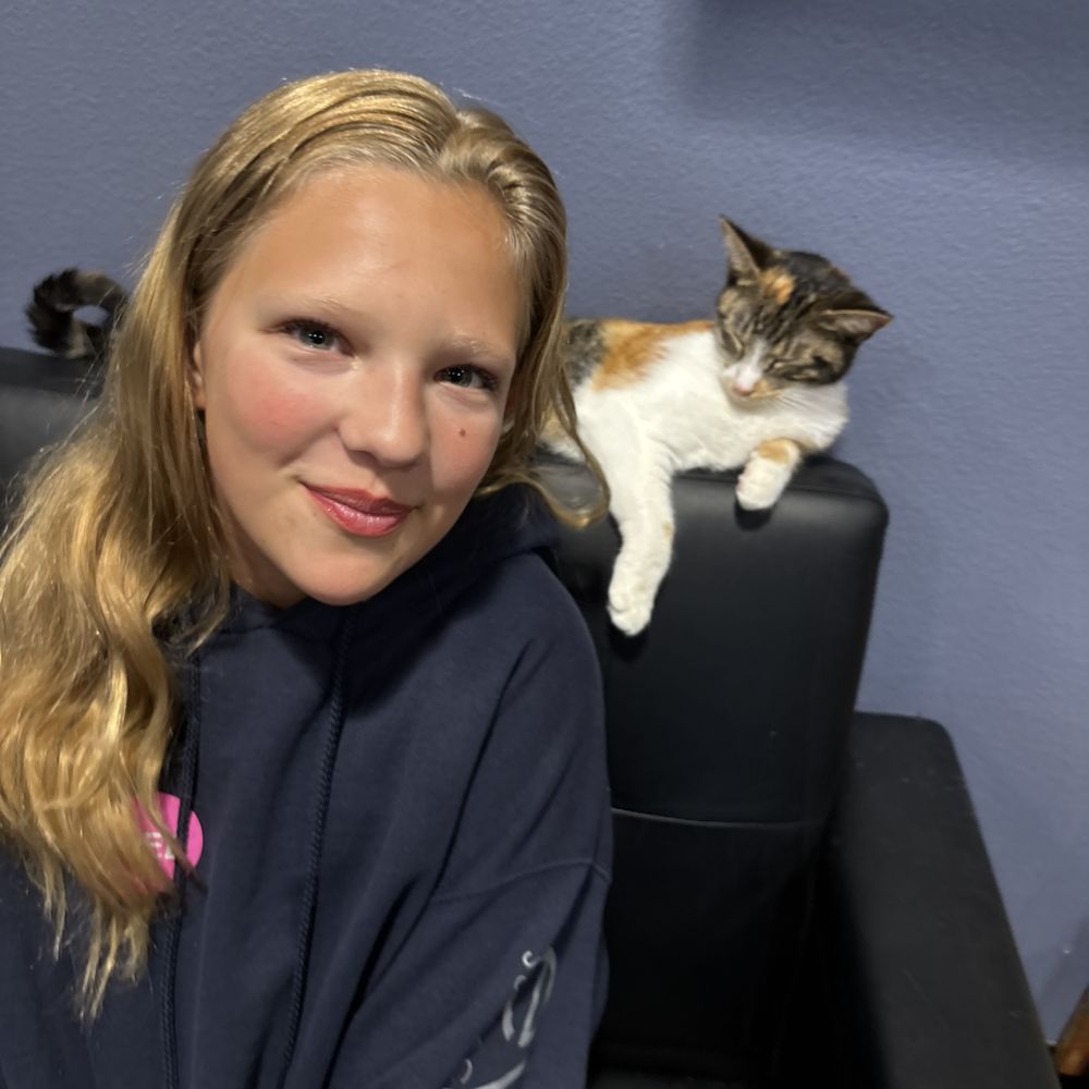 Orlando Cat Cafe - Animal Shelters Near Me - Clermont, Florida