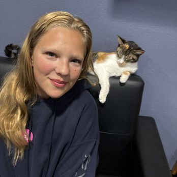 Orlando Cat Cafe - Animal Shelters Near Me - Clermont, Florida Orlando Cat Cafe - Animal Shelters Near Me - Clermont, Florida