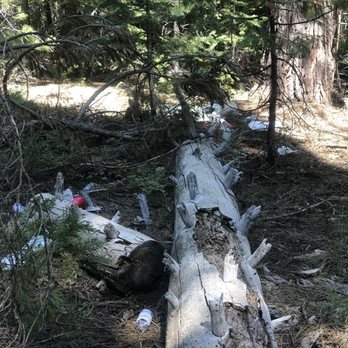 Bassi Falls - trash was dumped on the trail :( - Hiking Near Me - Placerville, California