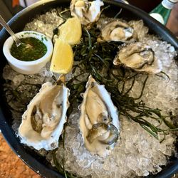 Stark's Steak & Seafood - Oysters on the Half Shell*