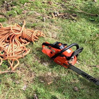 Lobo Tree Service - Tree Services Near Me - Longview, Texas Lobo Tree Service - Tree Services Near Me - Longview, Texas