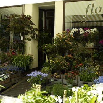 Grüne Flora - Grüne Flora aussen - Florists Near Me - Hamburg, HH Grüne Flora - Grüne Flora aussen - Florists Near Me - Hamburg, HH