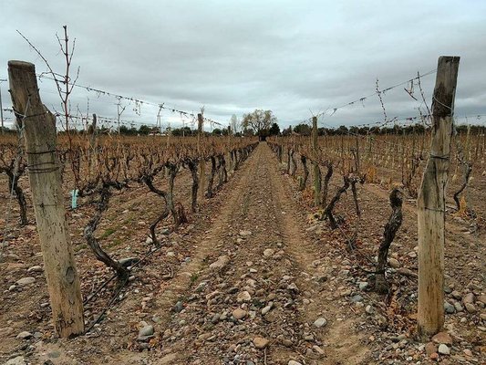Bodega Ruca Malen by null