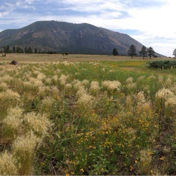Buffalo Park - Amazing scenery here! - Parks Near Me - Flagstaff, Arizona
