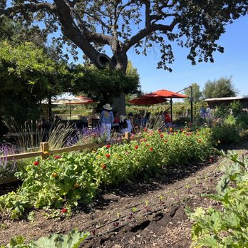 Roblar Winery - Wineries Near Me - Santa Ynez, California Roblar Winery - Wineries Near Me - Santa Ynez, California
