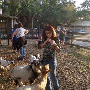 DK Farms & Gardens - Petting Zoos Near Me - Largo, Florida DK Farms & Gardens - Petting Zoos Near Me - Largo, Florida