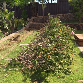 R & J Yard Service - Mess left behind from previous day! - Gardeners Near Me R & J Yard Service - Mess left behind from previous day! - Gardeners Near Me