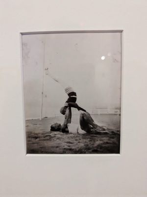 NSU Art Museum Fort Lauderdale by null