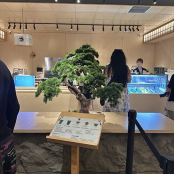 Matsu Matcha - Coffee & Tea Near Me - Los Angeles, California Matsu Matcha - Coffee & Tea Near Me - Los Angeles, California