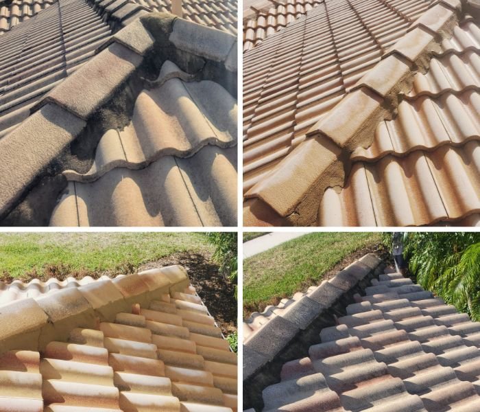 Slide of Tampa Bay Roof Cleaning