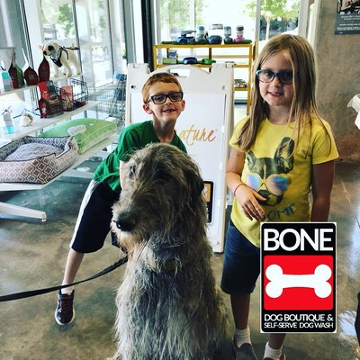 bone dog boutique