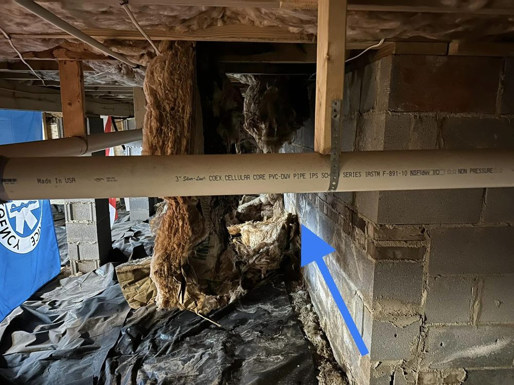 SC Environmental Services - mold inspector in White Rock, SC