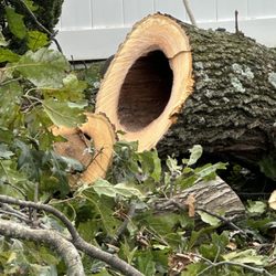Arbor Tech Tree Service of Long Island
