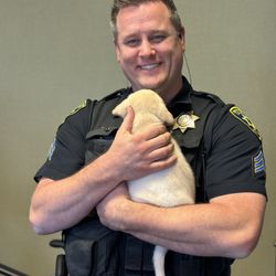 Althea Canines - Look at that smile from UCD PD! puppy breath and snuggles are the best!
