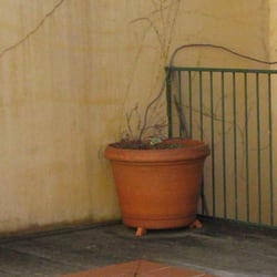 Arts Hotel