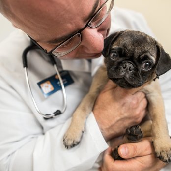 Banfield Pet Hospital - Veterinarians Near Me - Carmichael, California Banfield Pet Hospital - Veterinarians Near Me - Carmichael, California