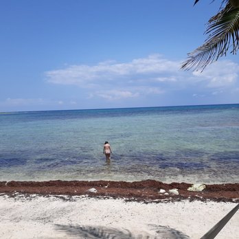 La Buena Vida - Bars Near Me - Akumal, ROO La Buena Vida - Bars Near Me - Akumal, ROO