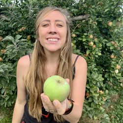 Stepp's Hillcrest Orchard
