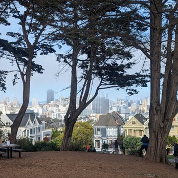 Alamo Square - View - Parks Near Me - San Francisco, California