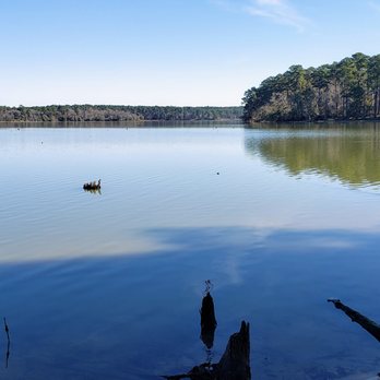 Sam Houston National Forest - Lake view about 2 miles south of the Stubblefield Campground. - Parks Near Me - New Waverly, Texas