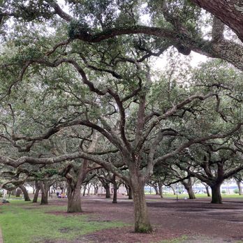 White Point Garden - Parks Near Me - Charleston, South Carolina White Point Garden - Parks Near Me - Charleston, South Carolina