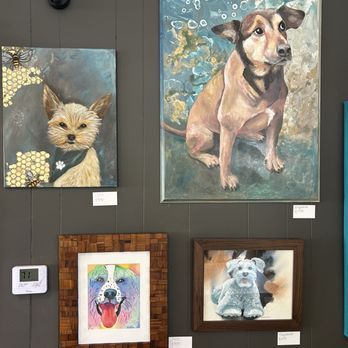 Cafe Zoomies - Coffee & Tea Near Me - Ventura, California Cafe Zoomies - Coffee & Tea Near Me - Ventura, California