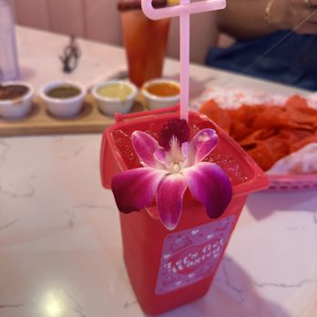 Taquero Mucho - Tacos Near Me - Austin, Texas