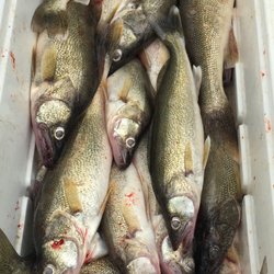 Fish on Charters
