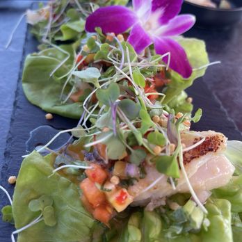 Sake House Malibu - Black cod salad wraps - Japanese Near Me - Malibu, California Sake House Malibu - Black cod salad wraps - Japanese Near Me - Malibu, California