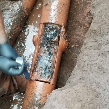 Allens Plumbing - Roots found in 6" sewer main. - Plumbing Near Me - Kahului, Hawaii Allens Plumbing - Roots found in 6" sewer main. - Plumbing Near Me - Kahului, Hawaii