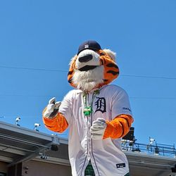 Detroit Tigers