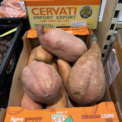 Norma Filiale - Giant ass sweet potatoes