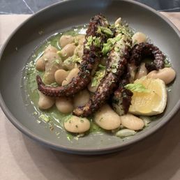 Octopus Octopus