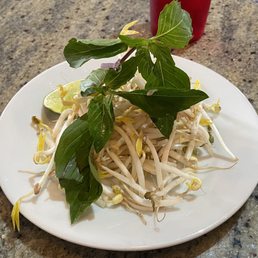 Pho Garnish Pho Garnish