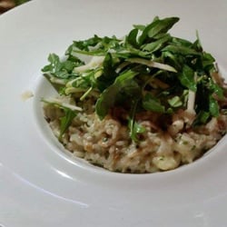 Italian at the Pacific - The chef's risotto for the day.