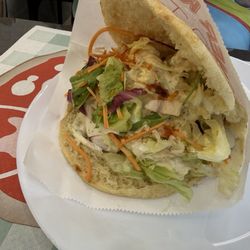 Turkish Kebab - Vegetarian pita