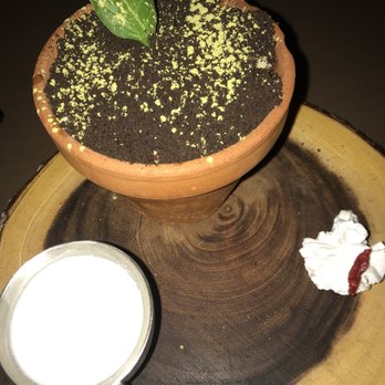 107 Taste - Zombie Plant - how cute is this setup!? - Asian Fusion Near Me - Miami, Florida 107 Taste - Zombie Plant - how cute is this setup!? - Asian Fusion Near Me - Miami, Florida