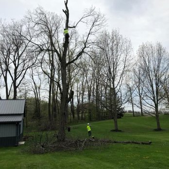 Schaal's Tree Service - Tree Services Near Me
