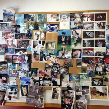 Parker Veterinary Hospital - Love this collage of client photos in their lobby! - Veterinarians Near Me - Charlotte, North Carolina Parker Veterinary Hospital - Love this collage of client photos in their lobby! - Veterinarians Near Me - Charlotte, North Carolina