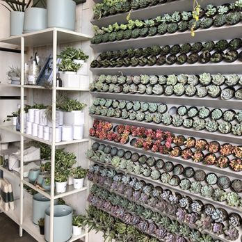 Pigment - Home Decor Near Me - San Diego, California