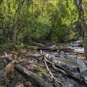 Neff's Canyon - Dog Parks Near Me - Salt Lake City, Utah