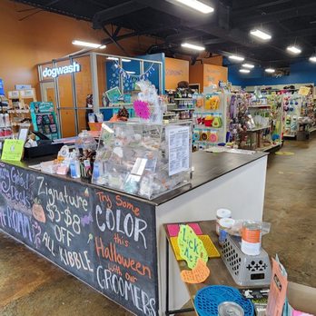 Pet in the City - a pet shop - Pet Stores Near Me - Charlotte, North Carolina Pet in the City - a pet shop - Pet Stores Near Me - Charlotte, North Carolina