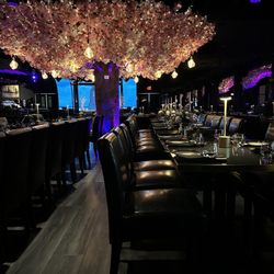 Sky Wise Lounge