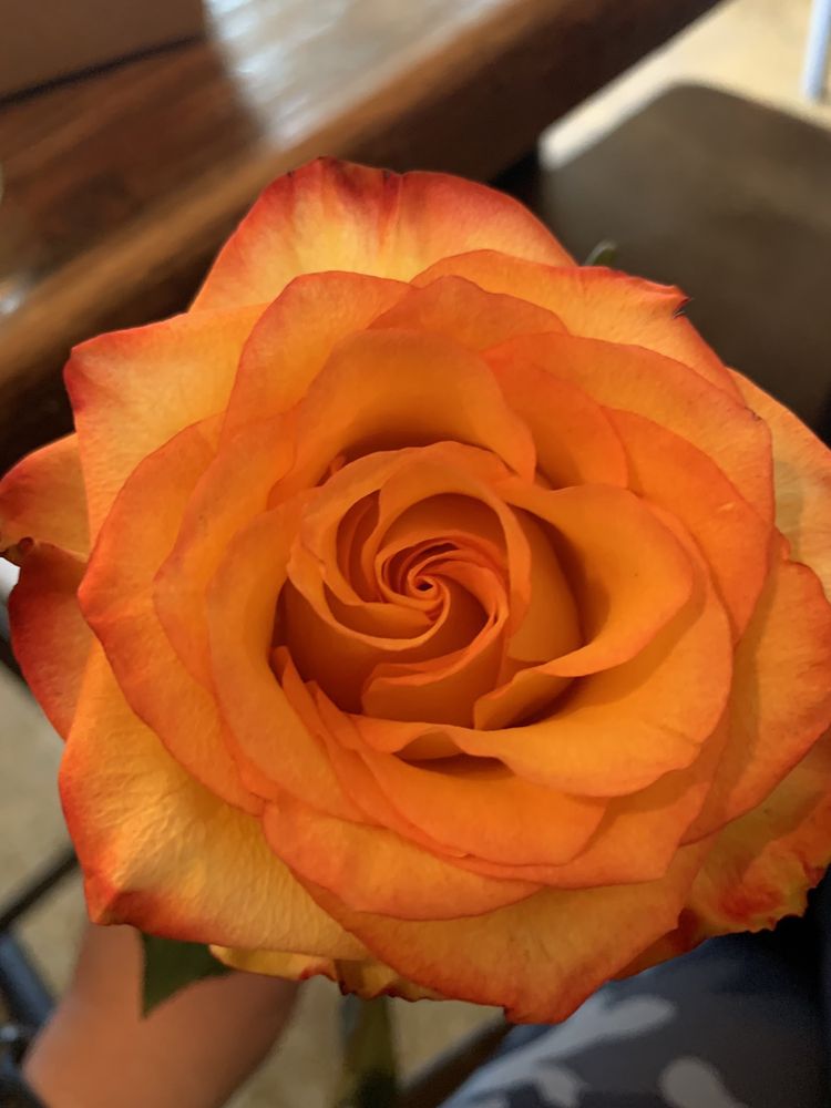 CARY ALE HOUSE & BREWING COMPANY 108 Photos & 261 Reviews 208 W